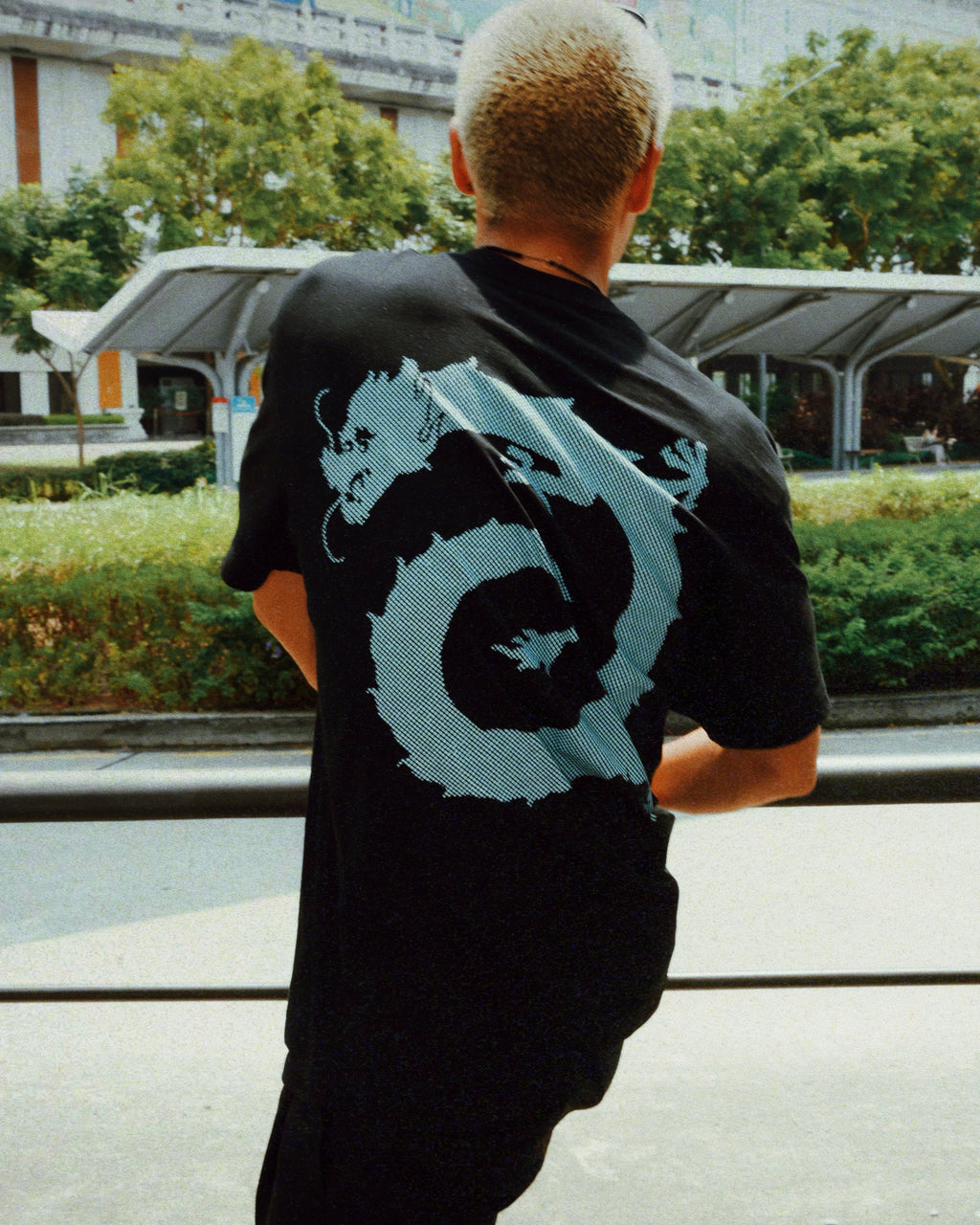 Vortex dragon T