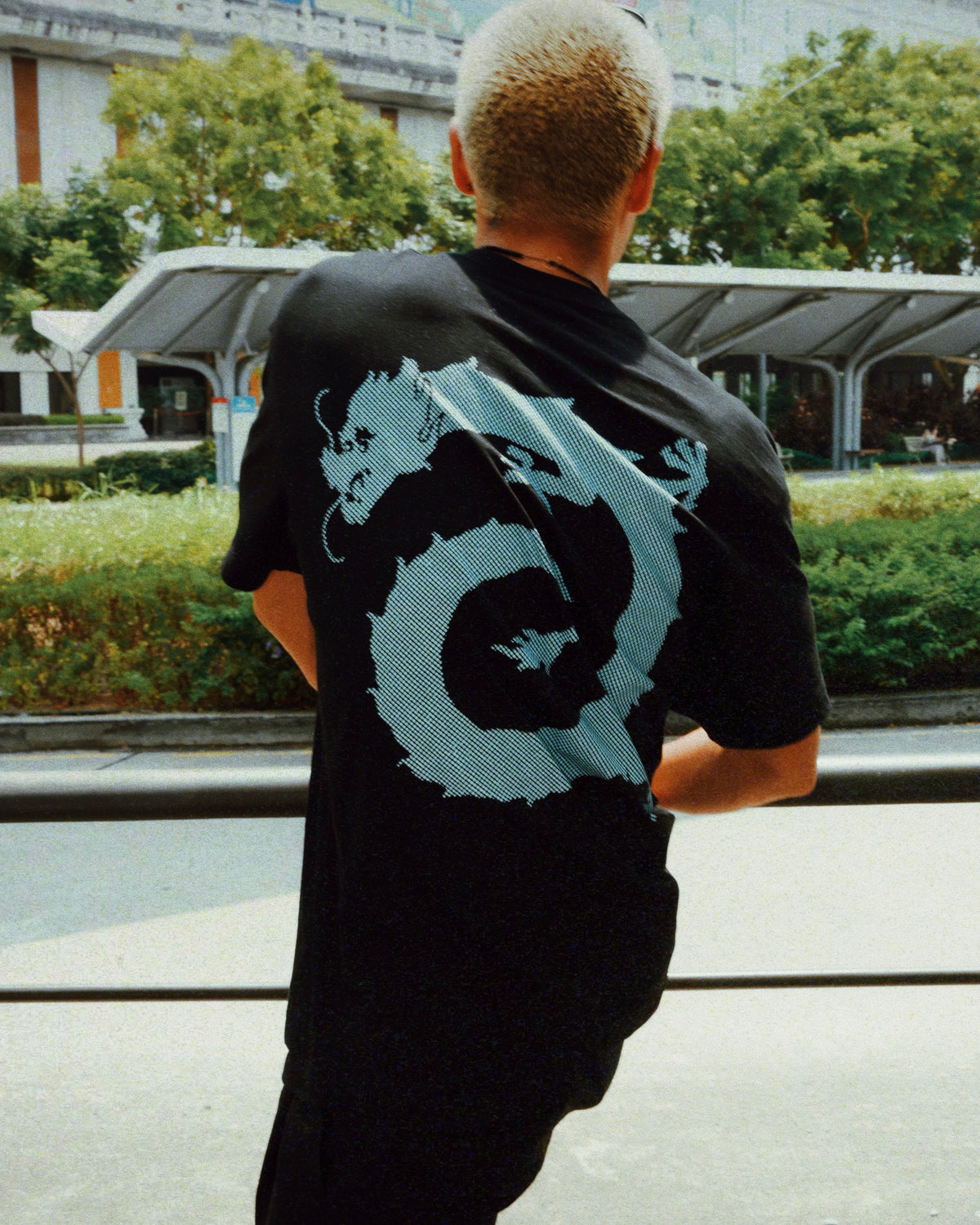 Vortex dragon T