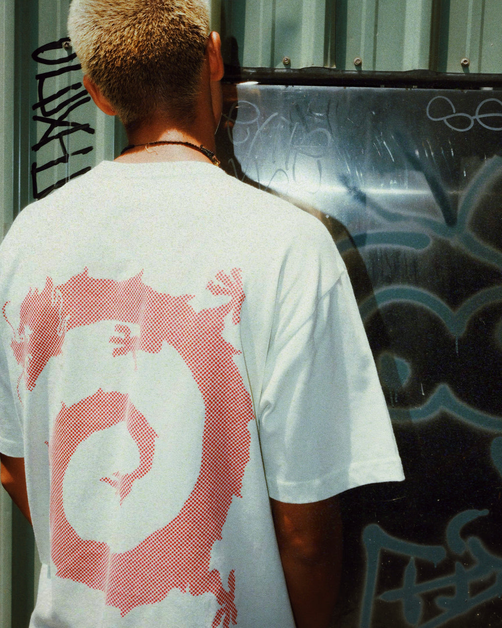 Vortex dragon T