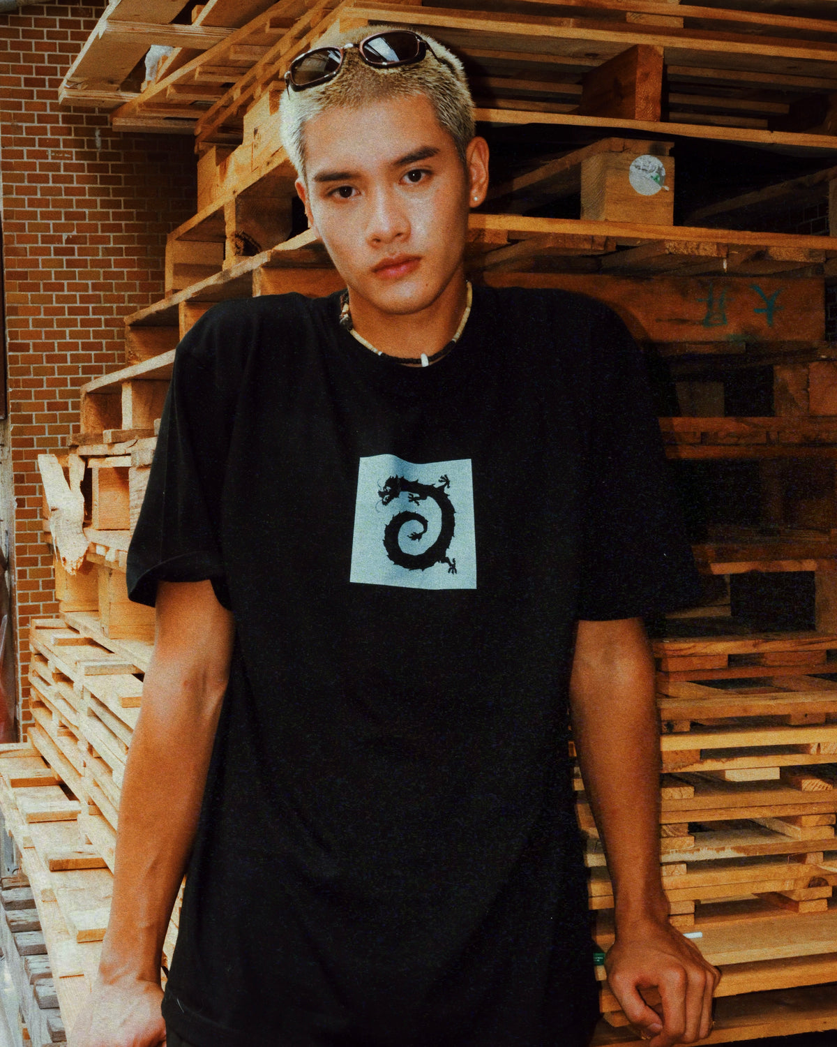 Vortex dragon T