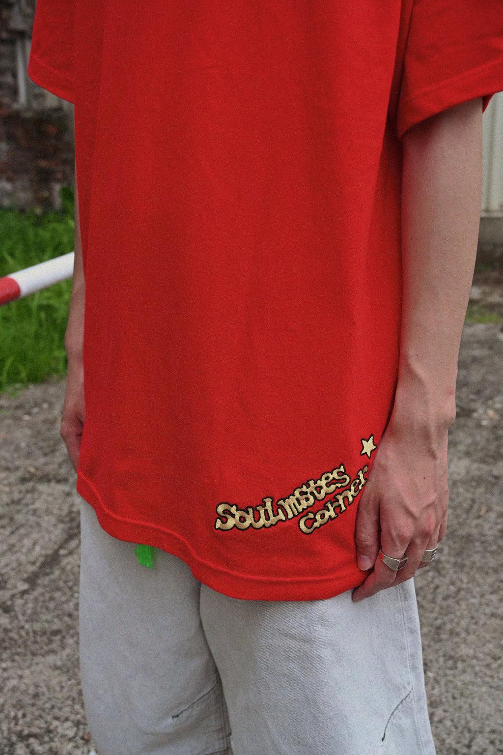 Guardian dragon tee