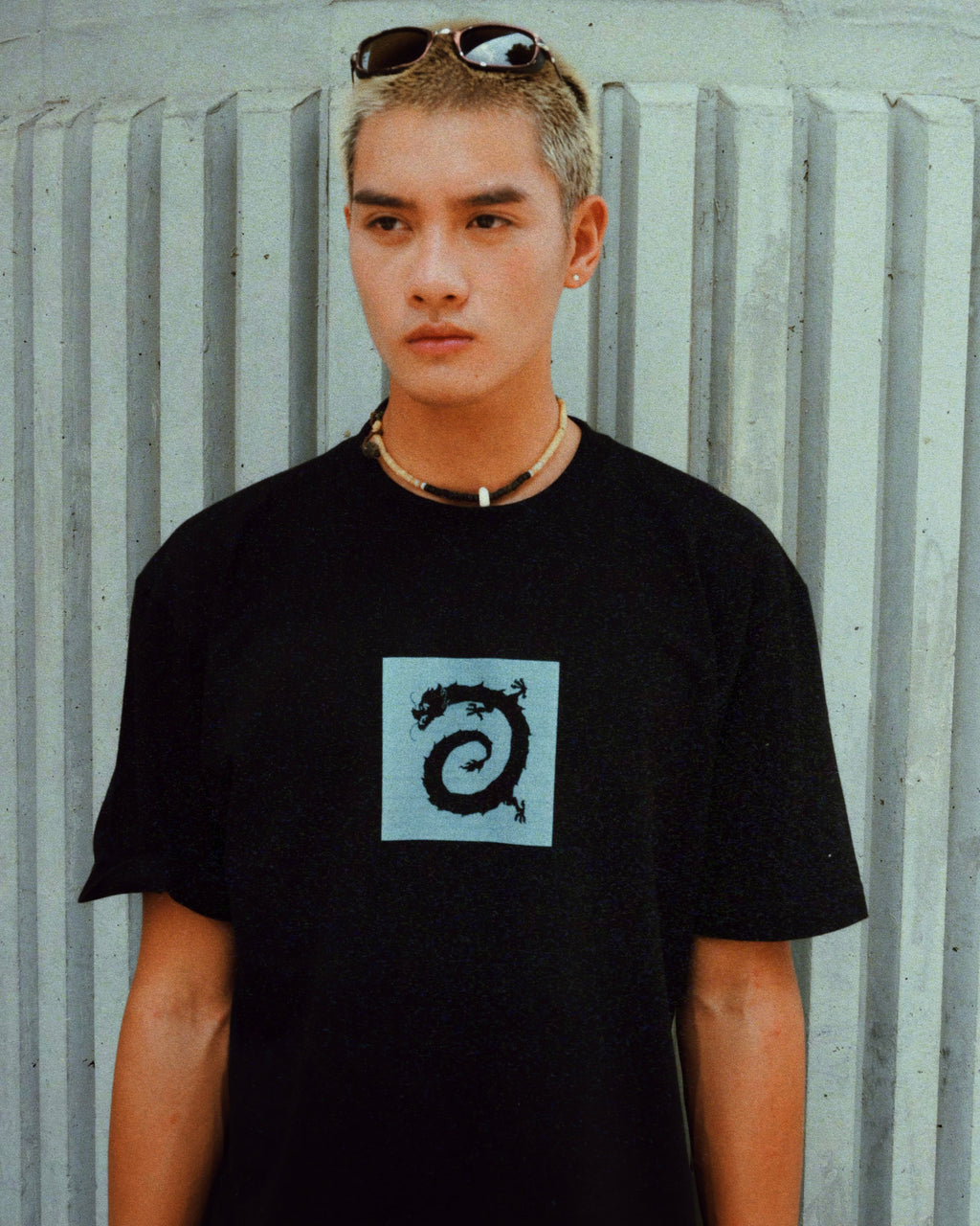 Vortex dragon T
