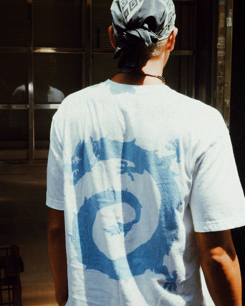 Vortex dragon T