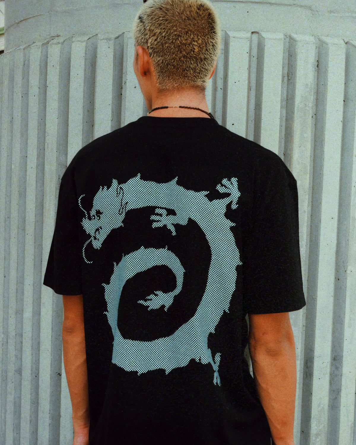 Vortex dragon T