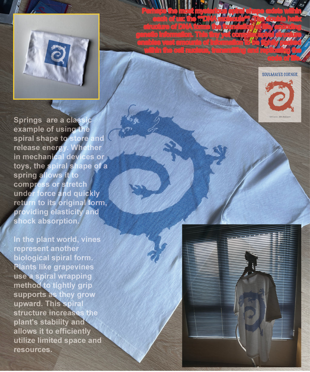 Vortex dragon T